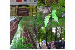 IMG-20240524-WA0006
