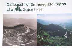 IMG-20240524-WA0013