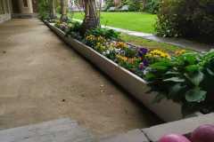 IMG-20240524-WA0014