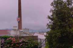 IMG-20240524-WA0015