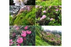 IMG-20240524-WA0017