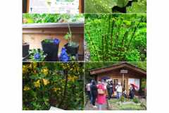 IMG-20240524-WA0018