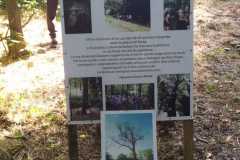 IMG-20240608-WA0017