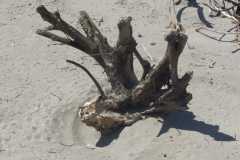 IMG-20240608-WA0039