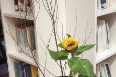 IMG-20230206-WA0024