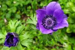IMG-20200513-WA0003