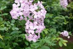 IMG-20200416-WA0033