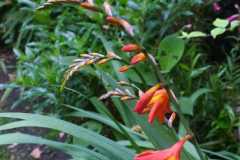 IMG-20200606-WA0018