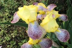 IMG-20230504-WA0002