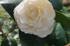 IMG-20220311-WA0017