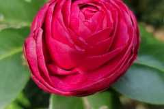 IMG-20220311-WA0026
