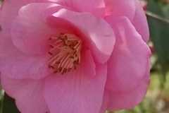 IMG-20220311-WA0027