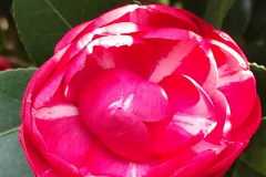 IMG-20220311-WA0028