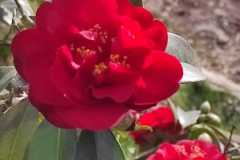 IMG-20220311-WA0030