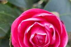 IMG-20220311-WA0043