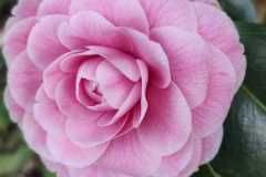 IMG-20220324-WA0024