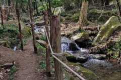 IMG-20220324-WA0028