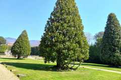 IMG-20220324-WA0047