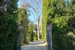 IMG-20220324-WA0049
