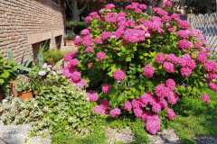 IMG-20220616-WA0007