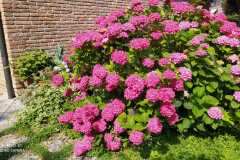 IMG-20220616-WA0009