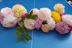 IMG-20220929-WA0015