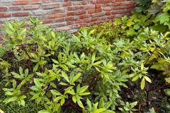 IMG-20260911-WA0101