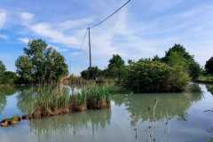 IMG-20230506-WA0034