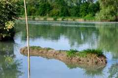 IMG-20230506-WA0035