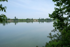 senza-titolo-5-16
