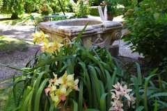 IMG-20210601-WA0014