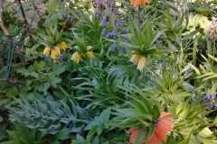 IMG-20210407-WA0009