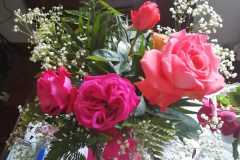 IMG-20210520-WA0008