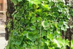 IMG-20230331-WA0008