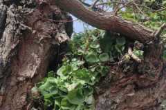 IMG-20230331-WA0015