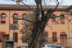 IMG-20230331-WA0017