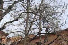 IMG-20230331-WA0018