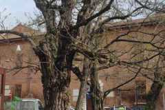 IMG-20230331-WA0019