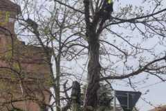 IMG-20230331-WA0020