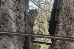IMG-20230331-WA0021