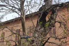 IMG-20230331-WA0023