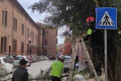 IMG-20230331-WA0025