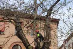 IMG-20230331-WA0026