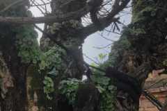IMG-20230331-WA0027
