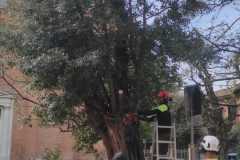 IMG-20230331-WA0028
