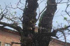 IMG-20230331-WA0032