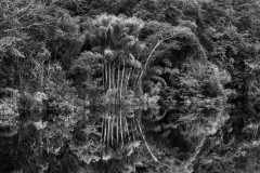 © Sebastião SALGADO