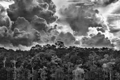 © Sebastião SALGADO